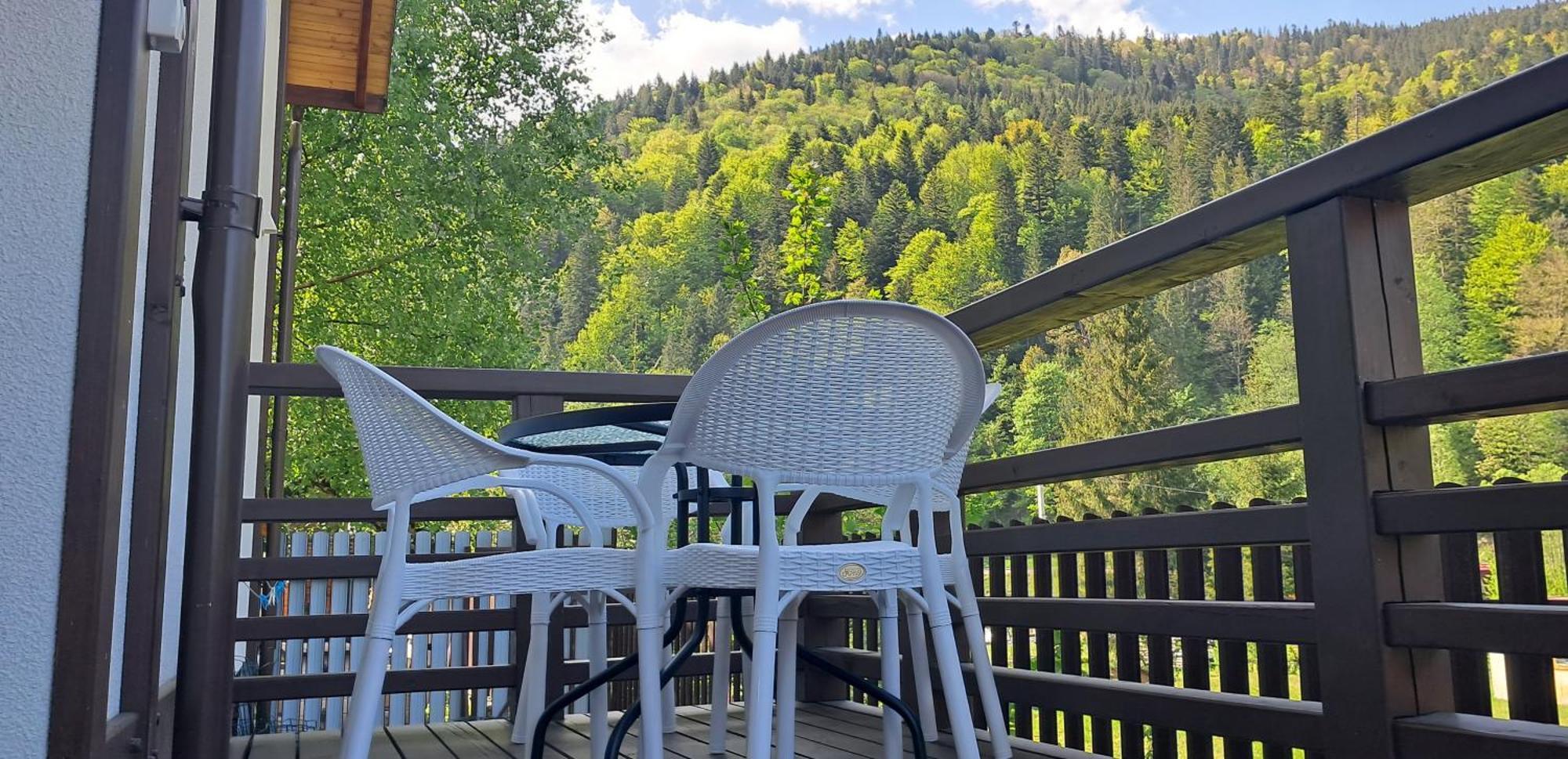 Girska Sonata Hotel & Apartments Mykulychyn Dış mekan fotoğraf